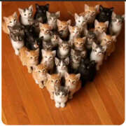 ヒメ日記 2025/06/10 18:12 投稿 綾野 おふくろ