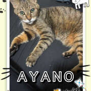 ヒメ日記 2025/08/30 17:47 投稿 綾野 おふくろ