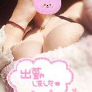 ヒメ日記 2025/04/05 12:03 投稿 美波　しずか 熟女パラダイス甲府店（カサブランカグループ）