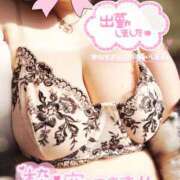 ヒメ日記 2025/04/06 11:53 投稿 美波　しずか 熟女パラダイス甲府店（カサブランカグループ）