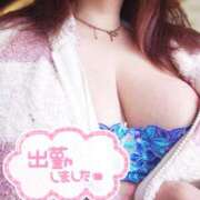 ヒメ日記 2025/04/09 12:05 投稿 美波　しずか 熟女パラダイス甲府店（カサブランカグループ）