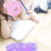 ヒメ日記 2025/04/09 15:59 投稿 美波　しずか 熟女パラダイス甲府店（カサブランカグループ）