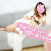 ヒメ日記 2025/04/25 14:19 投稿 美波　しずか 熟女パラダイス甲府店（カサブランカグループ）