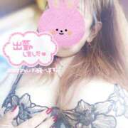 ヒメ日記 2025/04/27 12:05 投稿 美波　しずか 熟女パラダイス甲府店（カサブランカグループ）