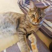 ヒメ日記 2025/06/15 13:45 投稿 美波　しずか 熟女パラダイス甲府店（カサブランカグループ）