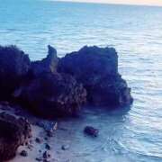 ヒメ日記 2025/06/16 11:55 投稿 美波　しずか 熟女パラダイス甲府店（カサブランカグループ）