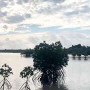 ヒメ日記 2025/06/17 11:43 投稿 美波　しずか 熟女パラダイス甲府店（カサブランカグループ）