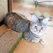 ヒメ日記 2025/10/01 12:17 投稿 美波　しずか 熟女パラダイス甲府店（カサブランカグループ）