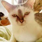 ヒメ日記 2025/10/13 13:31 投稿 美波　しずか 熟女パラダイス甲府店（カサブランカグループ）