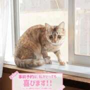 ヒメ日記 2026/01/02 12:39 投稿 美波　しずか 熟女パラダイス甲府店（カサブランカグループ）