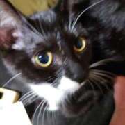 ヒメ日記 2026/01/06 12:39 投稿 美波　しずか 熟女パラダイス甲府店（カサブランカグループ）