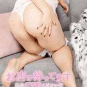 ヒメ日記 2026/01/08 14:05 投稿 美波　しずか 熟女パラダイス甲府店（カサブランカグループ）