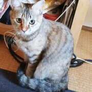 ヒメ日記 2026/01/11 13:19 投稿 美波　しずか 熟女パラダイス甲府店（カサブランカグループ）