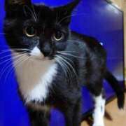 ヒメ日記 2026/01/12 13:21 投稿 美波　しずか 熟女パラダイス甲府店（カサブランカグループ）