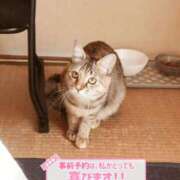 ヒメ日記 2026/01/17 14:45 投稿 美波　しずか 熟女パラダイス甲府店（カサブランカグループ）