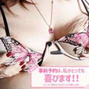 ヒメ日記 2026/02/01 11:25 投稿 美波　しずか 熟女パラダイス甲府店（カサブランカグループ）