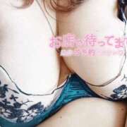 ヒメ日記 2026/02/19 16:05 投稿 美波　しずか 熟女パラダイス甲府店（カサブランカグループ）