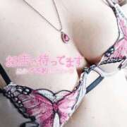 ヒメ日記 2026/03/03 14:19 投稿 美波　しずか 熟女パラダイス甲府店（カサブランカグループ）