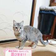 ヒメ日記 2026/03/27 13:03 投稿 美波　しずか 熟女パラダイス甲府店（カサブランカグループ）