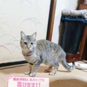 美波　しずか ?明日出勤します? 熟女パラダイス甲府店（カサブランカグループ）