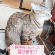 ヒメ日記 2026/07/20 18:09 投稿 美波　しずか 熟女パラダイス甲府店（カサブランカグループ）
