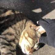 ヒメ日記 2025/02/22 20:13 投稿 セシル ぽっちゃり巨乳素人専門横浜関内伊勢佐木町ちゃんこ