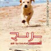 ヒメ日記 2025/08/31 18:06 投稿 セシル ぽっちゃり巨乳素人専門横浜関内伊勢佐木町ちゃんこ