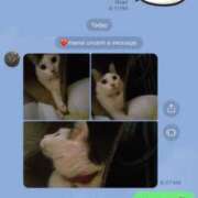 ヒメ日記 2025/11/28 14:06 投稿 セシル ぽっちゃり巨乳素人専門横浜関内伊勢佐木町ちゃんこ