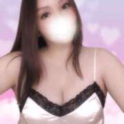 ヒメ日記 2025/11/17 12:03 投稿 セシル 新横浜ちゃんこ