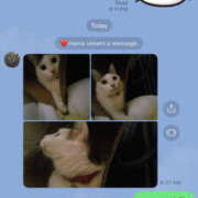 ヒメ日記 2025/11/28 14:03 投稿 セシル 新横浜ちゃんこ