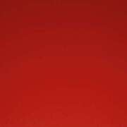 ヒメ日記 2025/03/20 15:21 投稿 ぴの 11チャンネル