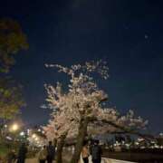 ヒメ日記 2025/04/14 18:28 投稿 るる 京都回春性感マッサージ倶楽部