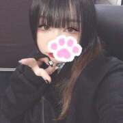 ヒメ日記 2025/01/16 19:19 投稿 こむぎ【Hカップの即尺姫】 どMばすたーず 群馬 高崎店