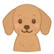 ヒメ日記 2026/03/14 13:18 投稿 マオ ヴィーナス(金津園)