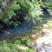 ヒメ日記 2025/08/10 13:25 投稿 市ノ瀬みや ホワイトハウス(曙町)