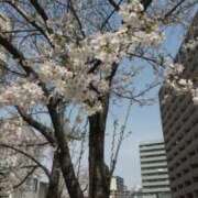 ヒメ日記 2025/03/28 10:30 投稿 藤田 誘惑マル秘ミセス