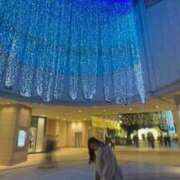 ヒメ日記 2024/12/12 14:42 投稿 まこ ビギナーズ和歌山