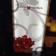 ヒメ日記 2026/02/25 17:10 投稿 ゆうか タレント倶楽部Around40