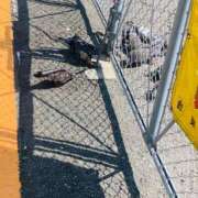 ヒメ日記 2025/08/05 16:39 投稿 さき 白い巨乳