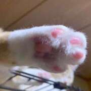 ヒメ日記 2025/08/13 07:19 投稿 さき 白い巨乳