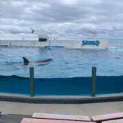 ヒメ日記 2025/09/12 09:29 投稿 さき 白い巨乳