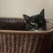 さき 出勤します🙋🏻‍♀️ 白い巨乳