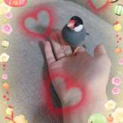 ヒメ日記 2025/01/11 19:44 投稿 沖田あずみ 五十路マダム 岐阜店