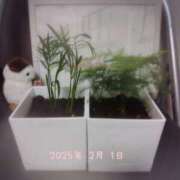 ヒメ日記 2025/02/01 19:32 投稿 沖田あずみ 五十路マダム 岐阜店