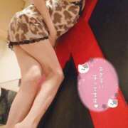 ヒメ日記 2025/02/10 09:22 投稿 あんじゅ エマニエル