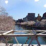 ヒメ日記 2025/04/04 14:22 投稿 あんじゅ エマニエル