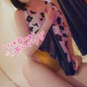 ヒメ日記 2025/04/09 12:03 投稿 あんじゅ エマニエル