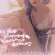 ヒメ日記 2025/05/31 08:08 投稿 あんじゅ エマニエル