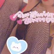 ヒメ日記 2025/06/22 19:22 投稿 あんじゅ エマニエル