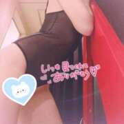 ヒメ日記 2025/07/12 17:16 投稿 あんじゅ エマニエル